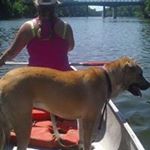 Profile Picture of Maureen Boyd (@momama6) on Instagram