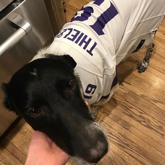 Profile Picture of Eli Jazdzewski (@elijaz119) on Poshmark