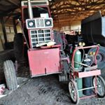 Tanya Everson - Instagram Profile Picture of Tanya Everson (@teverson31) on Instagram