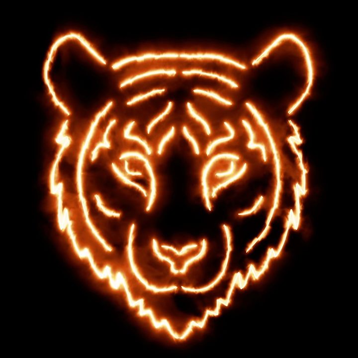 Profile Picture of Curtis Neville766 (@curtisneville766) on Tiktok