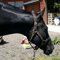 Profile Picture of Lacey Clayton (@lacey-clayton-5) on Quora