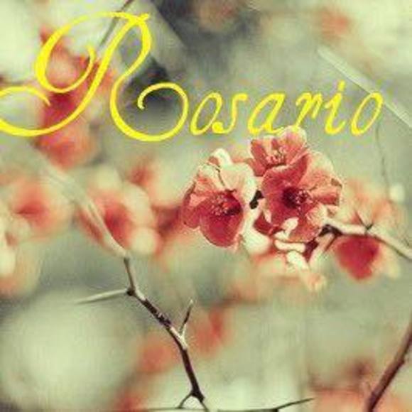 Profile Picture of Dulce Gasca (@dulce_gasca19) on Poshmark