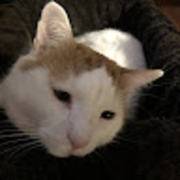 Profile Picture of Eric Duquette (@plumberduke613) on Poshmark