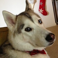 Profile Picture of Alexander Hart (@alexander-hart-6) on Quora