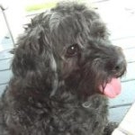 Profile Picture of Michele Beverly (@mhbeverly) on Instagram