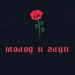 Profile Picture of amirovv.01 (@amirovv.01) on Instagram