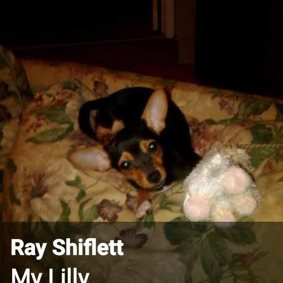 Profile Picture of Ray Shiflett (@rayshiflett) on Poshmark