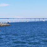 Profile Picture of shawn bell (@shawnbell8596) on Instagram