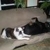 Profile Picture of Ruth Hebert (@ruth.hebert.98) on Facebook