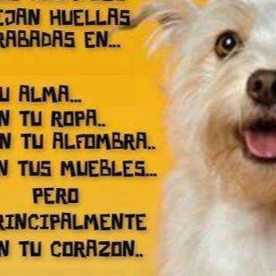 Profile Picture of Expedito Guedes Ramirez (@reyes.quesadasantana) on Facebook