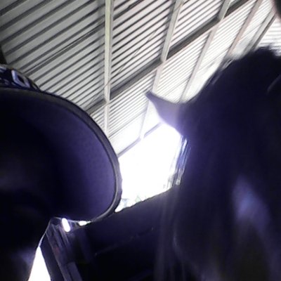 Profile Picture of Steven Mora (@Stevenmora8) on Twitter
