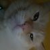 Profile Picture of Steven Cobos (@steven.cobos.12) on Facebook