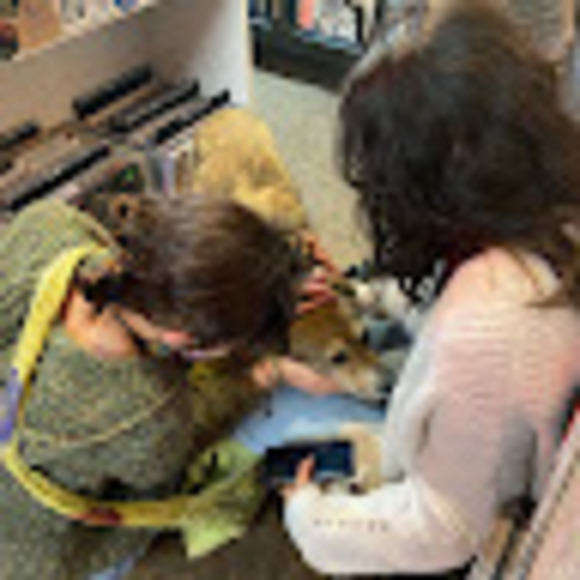 Profile Picture of Adrianna Bittman (@adriannabittman) on Poshmark