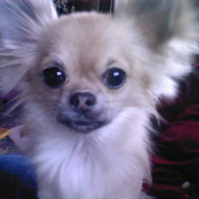 Profile Picture of Donna Marie Lear (@donna_lear) on Twitter