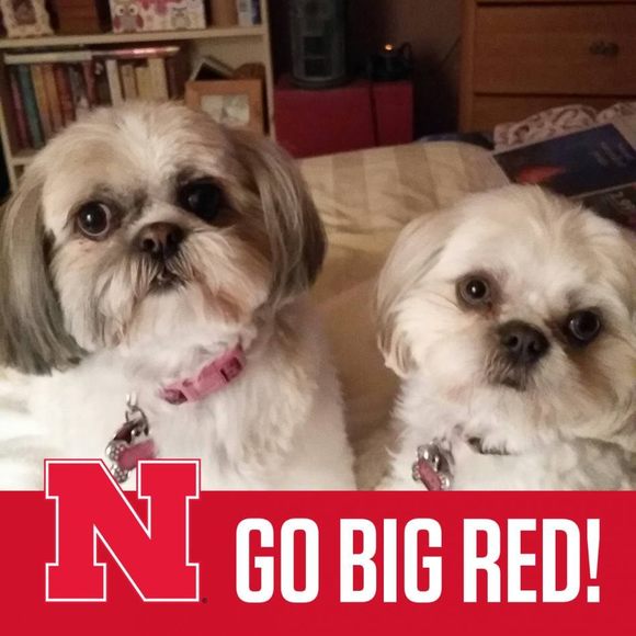 Profile Picture of Julie Urich (@jurich37) on Poshmark