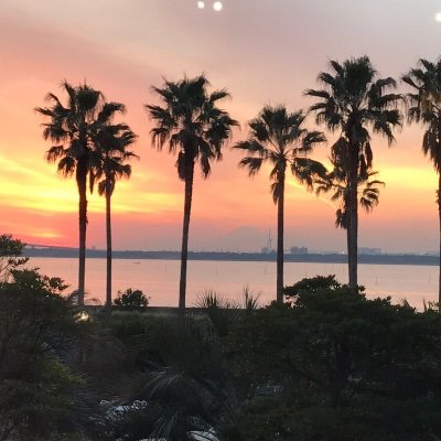 Profile Picture of Shelly@情報収集用 (@4yrop_maple) on Twitter