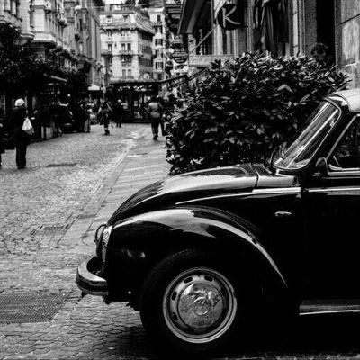 Rohan Chowdhury(Nova - Twitter Profile Picture of Rohan Chowdhury(Nova (@Gamezoneg36Pat) on Twitter