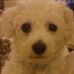 Profile Picture of Mitzy Gibbs (Mitzy) (@mitzy.gibbs) on Facebook