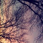 Profile Picture of Destiny Fritz (@destinyfritz_spam) on Instagram
