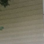 Profile Picture of Nicholas Faletti Sottile (@nicholasfalettisottile7205) on Instagram