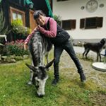 Profile Picture of Fellner Cornelia (@fellnercornelia) on Instagram