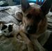 Profile Picture of Edward Cahoe (@edward.cahoe) on Facebook