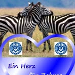 Profile Picture of Albert Weinberg (@albert.weinberg.12) on Facebook