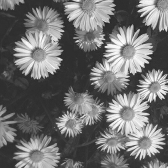 Profile Picture of Rachael Carbonneau (@rachaelcarbs) on Poshmark