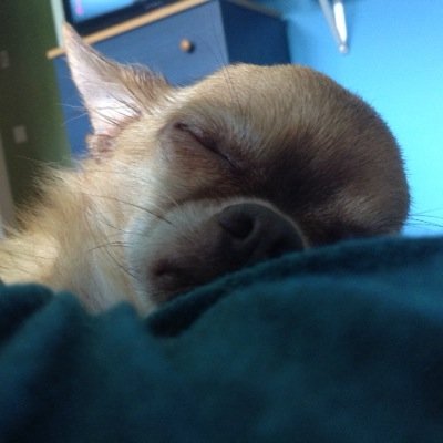 Profile Picture of Chris Cromwell (@ChrisCromwell1) on Twitter
