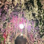 Profile Picture of Christal Roberts (@Christal-Roberts) on Facebook