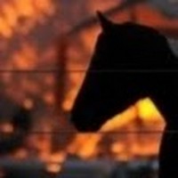 Profile Picture of Ada Ritter  (@ada-ritter-2) on Quora