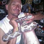 Profile Picture of Peter Costa (@le_libertines) on Instagram