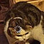 Profile Picture of SLOW JOE♿️ (@joeyymiramontes) on Instagram