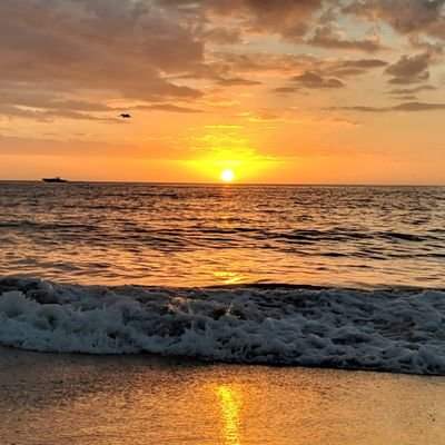 Profile Picture of Michael Mass (@mpmasserano) on Twitter