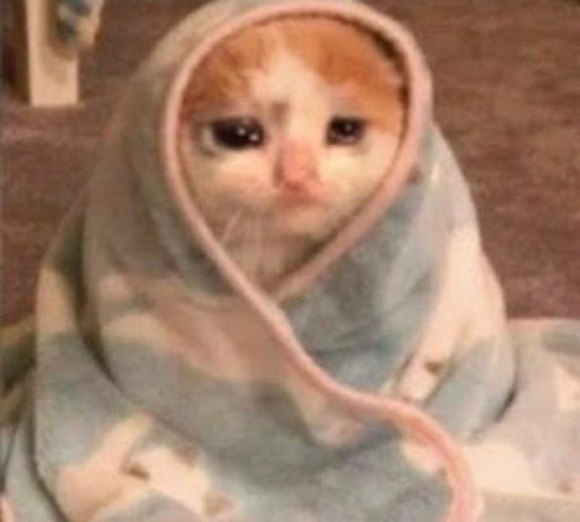 Profile Picture of Roxy Rodriguez (@rodriguezroxy48) on Poshmark