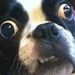 Profile Picture of Matthew Hassett (@hassett0917) on Pinterest
