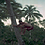 Profile Picture of zeeklafreek (@zeeklafreek) on Flickr