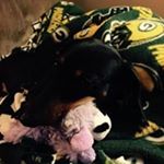 Profile Picture of Thomas Susan Fassbender (@trskfa) on Instagram