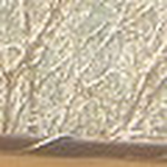 Profile Picture of Kevin Benson (@southern belle2013) on Flickr