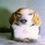 Profile Picture of Debbie Hughes' Photo Journal (@debbie hughes' photo journal) on Flickr