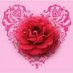 Profile Picture of Alexander Raj (@AlexanderRaj3) on Twitter