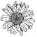 Profile Picture of Isabelle duPont (@isabellevdupont) on Pinterest