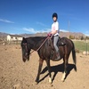 Profile Picture of Gina Riggins (@@wolfy73) on Tiktok