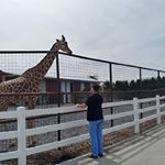 Profile Picture of Alan Cloyd (@alancloyd12) on Instagram