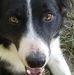 Profile Picture of Brad Nester (@brad.nester.9440) on Facebook