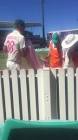 Profile Picture of   Josh Hazlewood standing... (@cricketlegend_07) on Tiktok