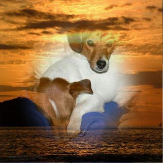 Profile Picture of Darryl Hazell (@darryl.hazell.9) on Facebook