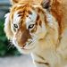 Profile Picture of Daniel Zalewski (@20052005r) on Pinterest