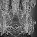 Profile Picture of Terhune (@christophcn7) on Instagram