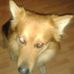 Profile Picture of Jim Zmud (@Jim-Zmud) on Facebook